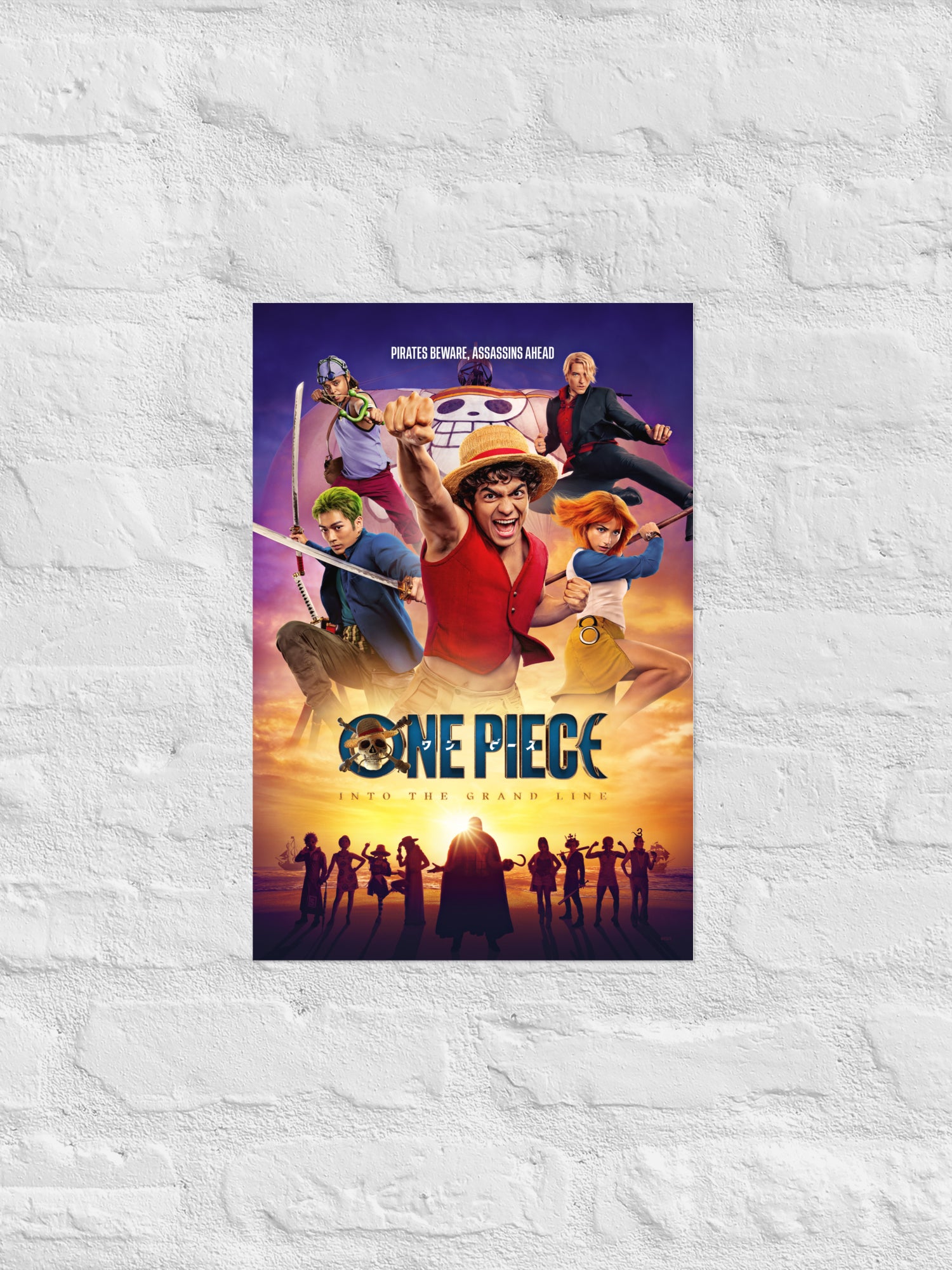 One Piece Pirates Beware Poster | Netflix Shop