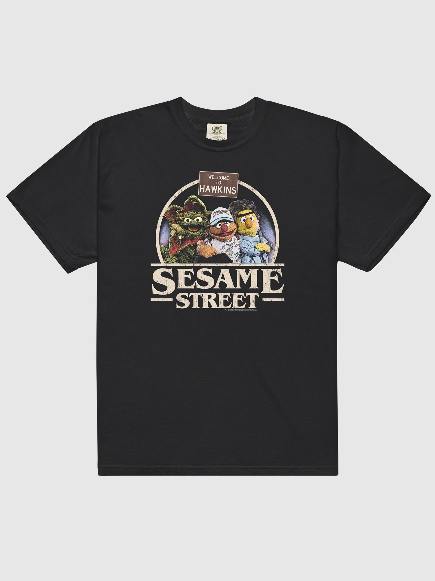 Stranger Things x Sesame Street Comfort Colors T-Shirt – Netflix Shop